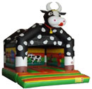 Springkussen Culemborg Huren