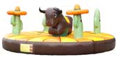 Rodeo Stier Huren