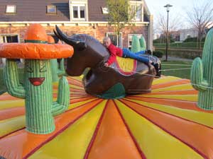 Rodeo Stier Huren - www.springkussen-huren-utrecht.nl