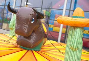 Rodeo Stier Huren - www.springkussen-huren-utrecht.nl